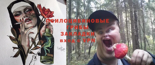 молекула духа Гусь-Хрустальный