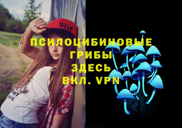 крисы Гусиноозёрск