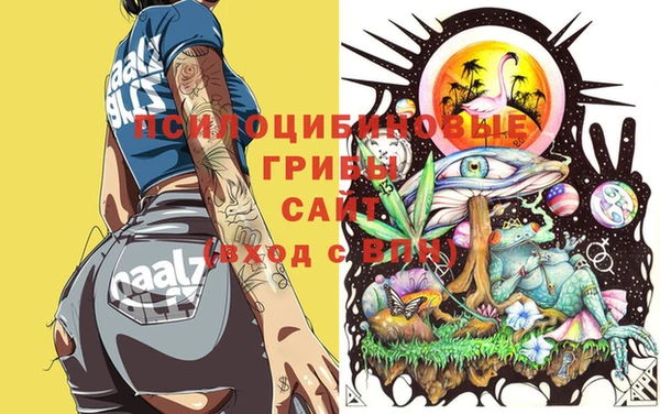 трава Гусев