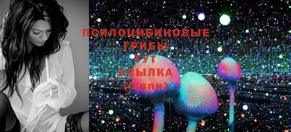 трава Гусев
