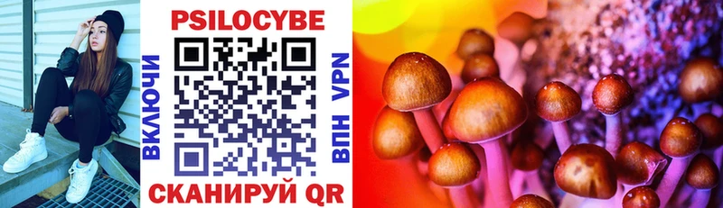 Псилоцибиновые грибы Magic Shrooms Купить где Советск