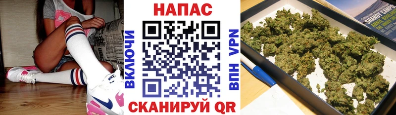 Купить  Советск  МАРИХУАНА план 